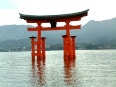 fukushima, japon, apocalypse, libye, patti smith, bloc note express