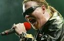 axlrose.jpg