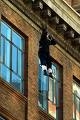 suicide 7f1ebbfe272d2b6e7840c28b0179bd97.jpg